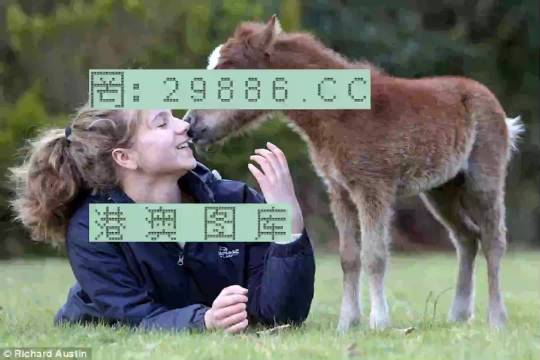 澳门芳草地一肖一码037期32-21-28-24-33-37T：26