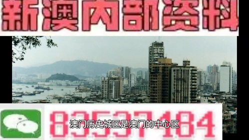 新澳门免费精准龙门客栈管家婆,决策资料解释落实