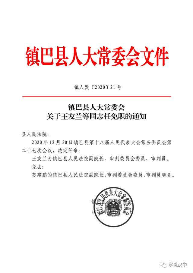 青坝村委会人事任命重塑乡村治理新篇章