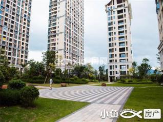 集美最新房源，探索城市新居住空间的无限潜力