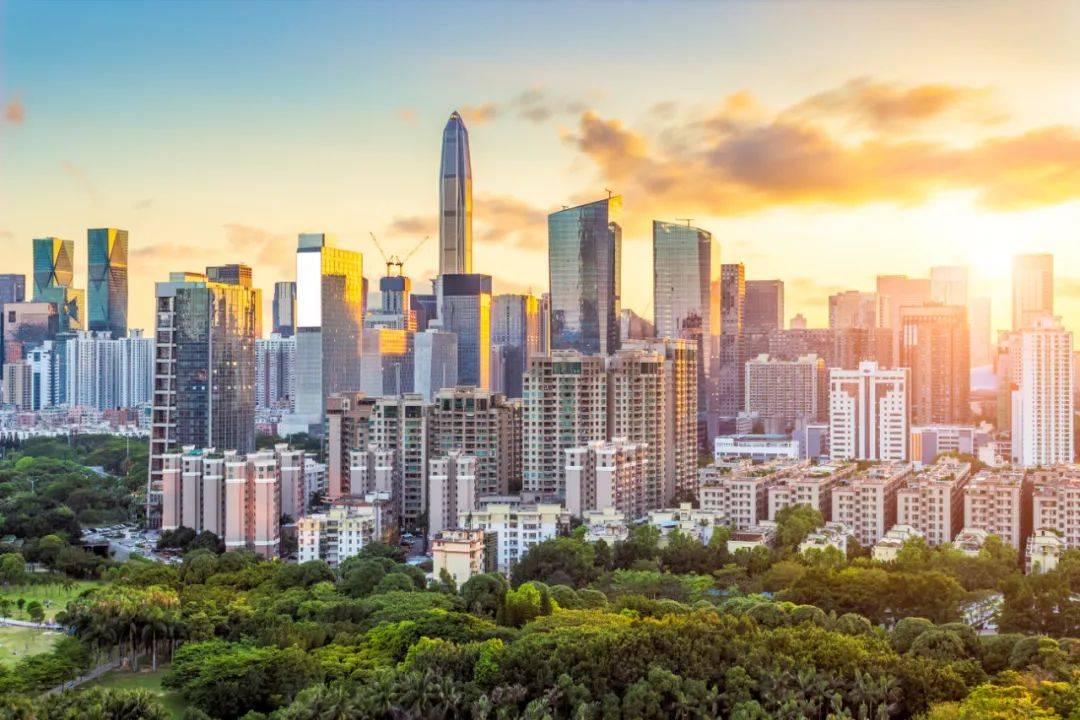 深圳最新情况概述，最新动态与发展分析