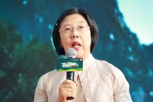 殷智贤的最新动态与成就概览